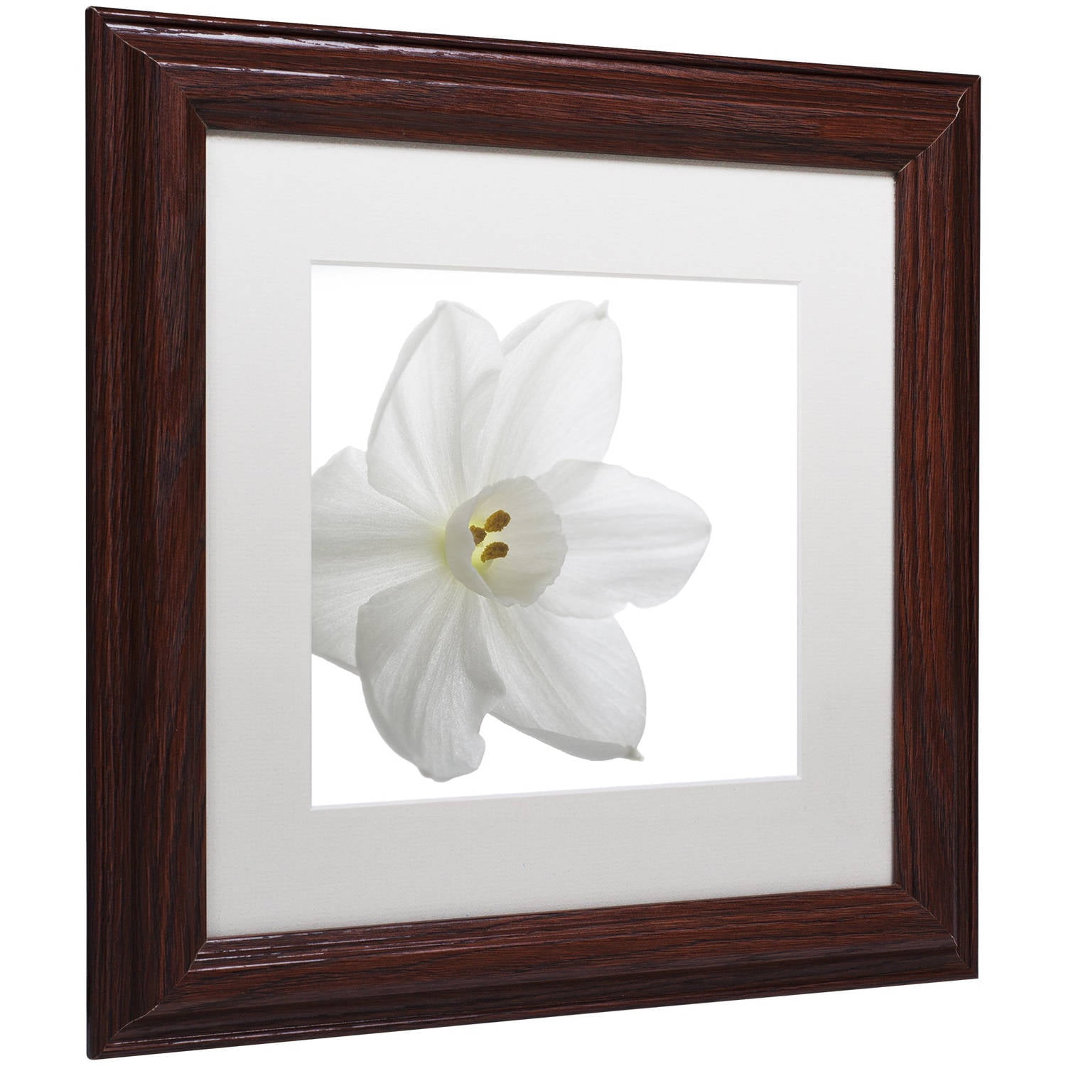 "Paper White" Canvas Art by Kurt Shaffer White Mat, Wood Frame