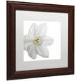thumbnail image 2 of "Paper White" Canvas Art by Kurt Shaffer White Mat, Wood Frame, 2 of 4