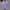 Purple, variant on Lenago Hoodies for Women Long Sleeves Casual Shirts Color Round Neck Sweatshirt Crewneck Pullover Tunic Tops Fall Winter Outfits Clothes