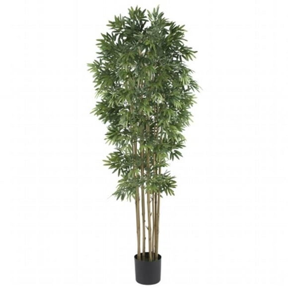 6 in. Bamboo Japanica Silk Tree
