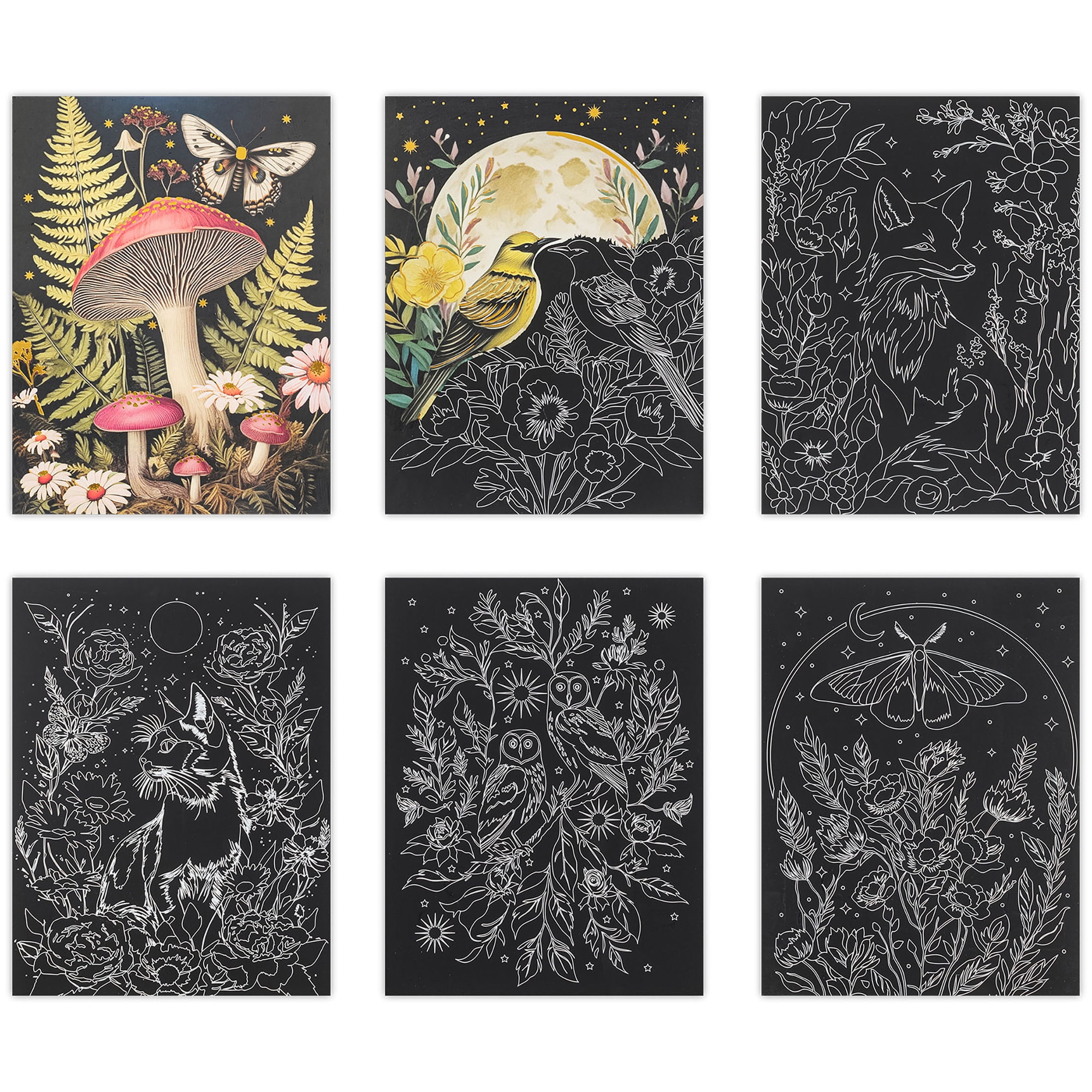 Brea Reese: Scratch Art Paper Pad - Midnight Botanicals - 6 Designs, Guided Art, Metallic Accents, Dual-Tip Stylus & Brush, 9x12" Pages, Adult Craft