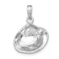 thumbnail image 3 of 14k White Gold Solid Textured Polished Finish Medium Size Clam Shell Charm Pendant, 3 of 4