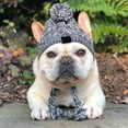 thumbnail image 4 of Walbest Dog Hat for Small Medium Dogs Pets Winter Warm Knitted Hat with Ear Holes, 4 of 7