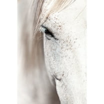 Marmont Hill Mh-Nnzupt-20-C-18 18" X 12" "Horse Eye" Giclee Art Print On Stretched Canvas