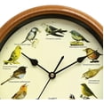 thumbnail image 3 of Bird Design Wall Clock With Sound, Which In, 3 of 12