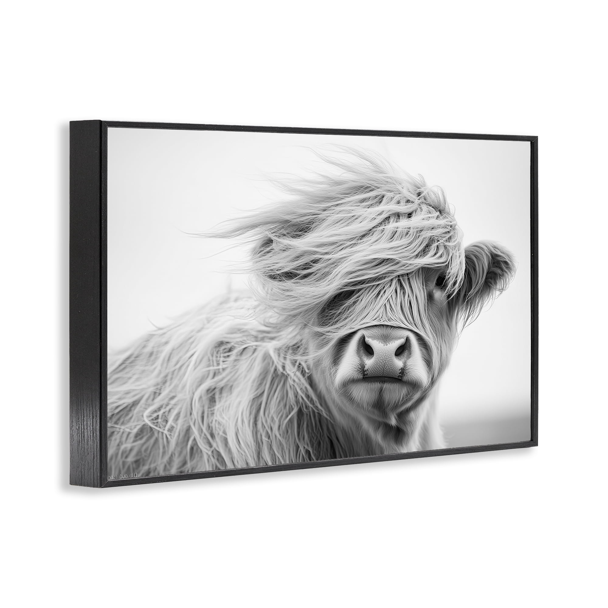Stupell Industries Easy Breezy Highland Black Framed Giclee Art, design by Tina LeCour