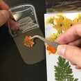 thumbnail image 5 of 40PCS Transparent Dried Flower Bookmarks DIY Kit – Clear Pressed Flower Bookmark Blanks for Crafts, Journaling – Cute Bookmark Set for Book Lovers, Students, DIY Enthusiasts – Creative Gift Idea, 5 of 5