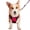 Red, variant on Mr. Peanut's PetTrek Harness With Matching Leash
