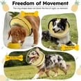 thumbnail image 6 of Inflatable Dog Cone Collar w/Removable Transparent Cover, Soft Recovery Pet Cone Protective Dog Donut Collar after Surgery for Small Dog Cats Neck 9"-12" (S), 6 of 9