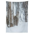 thumbnail image 3 of Ambesonne Animal Tablecloth Rectangular Table Cover, European Lynx Wilderness, 60"x90", Pale Brown White, 3 of 4
