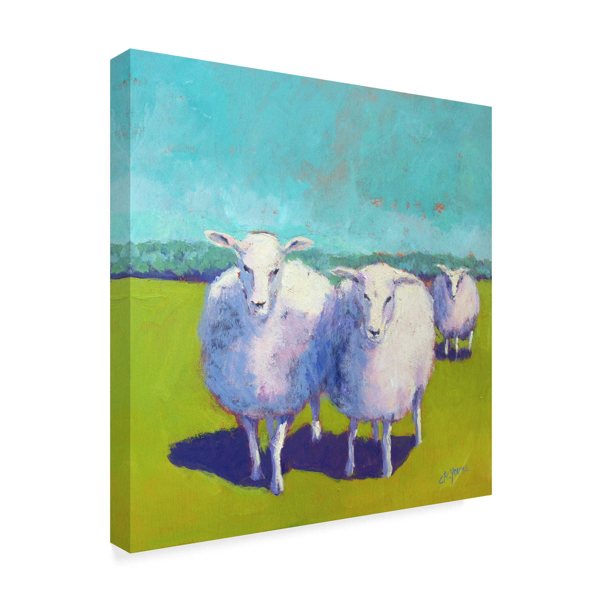 Trademark Fine Art 'Sheep Pals I' Canvas Art by Carol Young