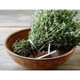 thumbnail image 3 of English Thyme plant ( Organic ), common thyme 10- 3.5 inch pots, 3 of 5