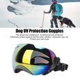 thumbnail image 4 of Lunettes de Protection pour Animaux, Lunettes de Soleil Confortables avec Sangles Élastiques Réglables Durables pour Course Lentilles Rouges, Lentilles Grises, Lentilles Bleues, Lentilles Transparentes, Lentilles Argentées, 4 of 7
