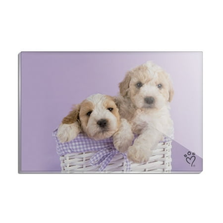 Wicker Dog Basket With Legs Spoodle Cockapoo Puppies Dogs Wicker Basket Rectangle Acrylic Fridge Refrigerator Magnet ()