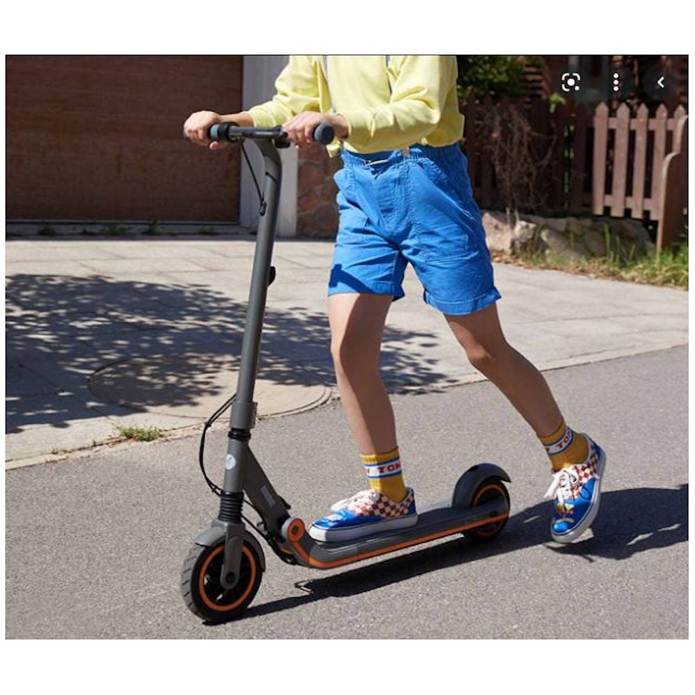 Buy Segway Ninebot EKickScooter ZING E12 Electric Scooter Online at