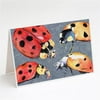 Lady Bug Multiple Greeting Cards & Envelopes - Pack of 8