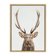 thumbnail image 2 of Kate and Laurel Sylvie The Red Deer Color Framed Canvas Wall Art by Simon Te of Tai Prints, 18x24 Natural, Rustic Forest Animal Deer Portrait Art, 2 of 6