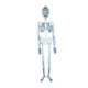 thumbnail image 1 of Cateissary Modelo de esqueleto de Halloween, esculturas artísticas modernas luminosas para festivales, estatua brillante de miedo para exteriores, Kits de decoración para fiestas 90cm/91g Cateissary HA067817-02, 1 of 6