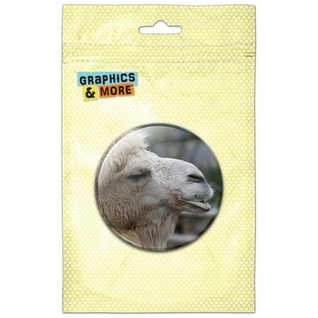 

Camel Profile Refrigerator Button Magnet