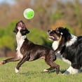 thumbnail image 3 of Dog Toy Balls, Food Leaking Function Brain Improvement Dog Teething Balls Strong Teeth Convenient to  Interactive Dog Chew Toy for House Indoor Family, 3 of 8