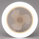 thumbnail image 3 of E27 Ceiling Fan with Lights,Enclosed Low Fan Light,Hidden Electric Fan Gimbal Lamp Holder(Cream Color), 3 of 5