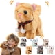 thumbnail image 1 of Perro robot interactivo de peluche para mascotas – Perro robot que pasea, ladra, mueve la cola • Compañero electrónico de peluche • Juego interior exterior de larga duración, 1 of 6
