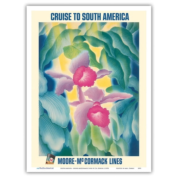 Cruise to South America - Tropical Orchids - Moore McCormack Lines - Vintage Ocean Liner Travel Poster by C. A. Rosser c.1950s - Master Art Print (Unframed) 9in x 12in