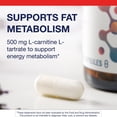 thumbnail image 4 of Suplemento Metagenics de L-carnitina, 500 mg, 30 porciones, 4 of 7