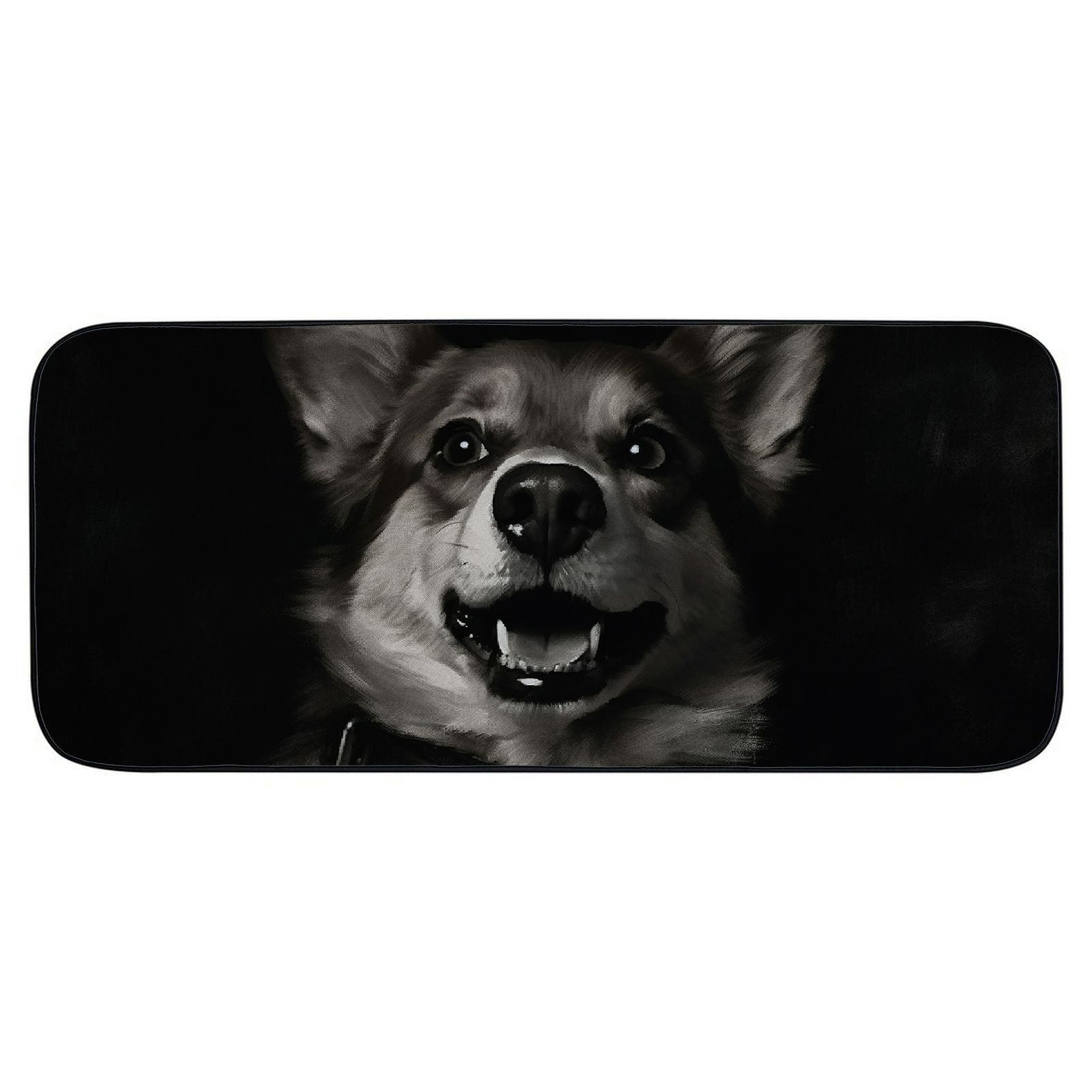 Heduofu Welcome Mat, Decorative Door Mat, Door Mat with Non-Slip Rubber Backing, Easy Cleaning, Traps Dirt, Rug for Entry, Patio, Garage