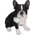 thumbnail image 1 of Hi-Line Gift Sitting French Bulldog Puppy Statue, 1 of 1