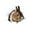 A, variant on ABODELINE Easter Rabbit Wall Decals - Easter Decor - Lifelike Bunny Toilet Sticker - 3D Bunny Car Window and Bumper Sticker - Bunny Rabbit Gifts