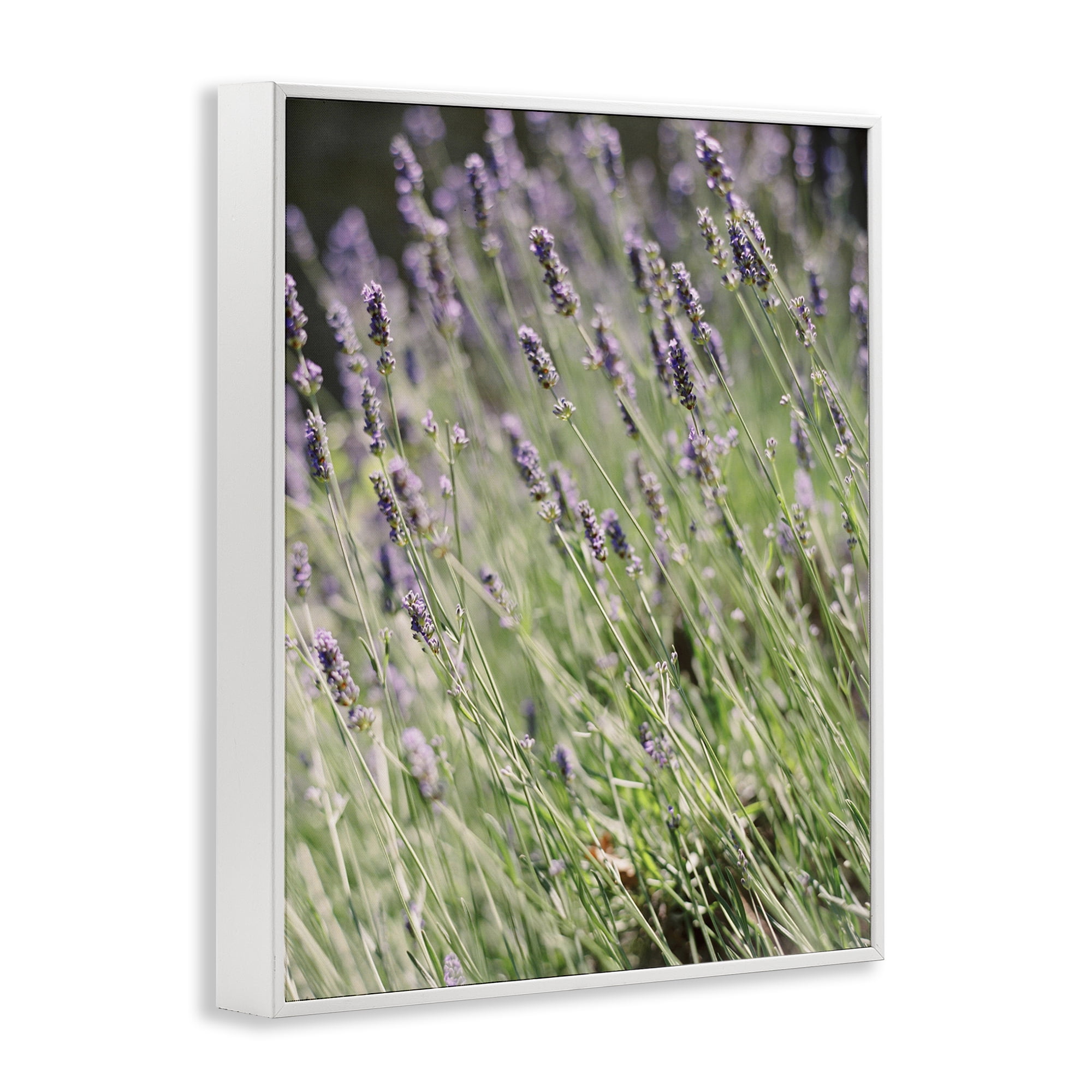 Stupell Industries Country Lilac Garden Botanical & Floral Photography White Framed Art Print Wall Art, 24 x 30