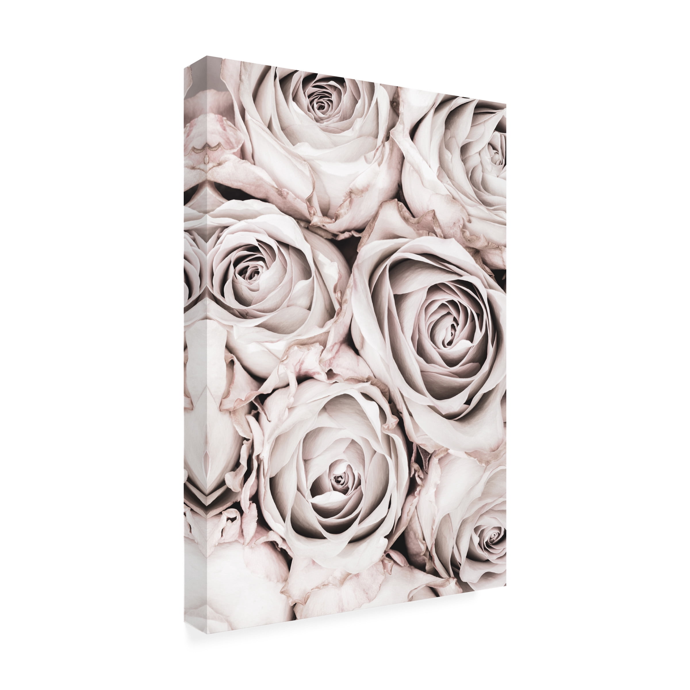 1x Studio III 'Grey Roses No 01' Canvas Art