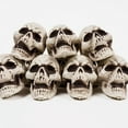 thumbnail image 5 of JYYYBF Halloween Skulls Realistic Skeleton Head Statues Small Collectible Figurines Skull Decorations for Home, 5 of 7