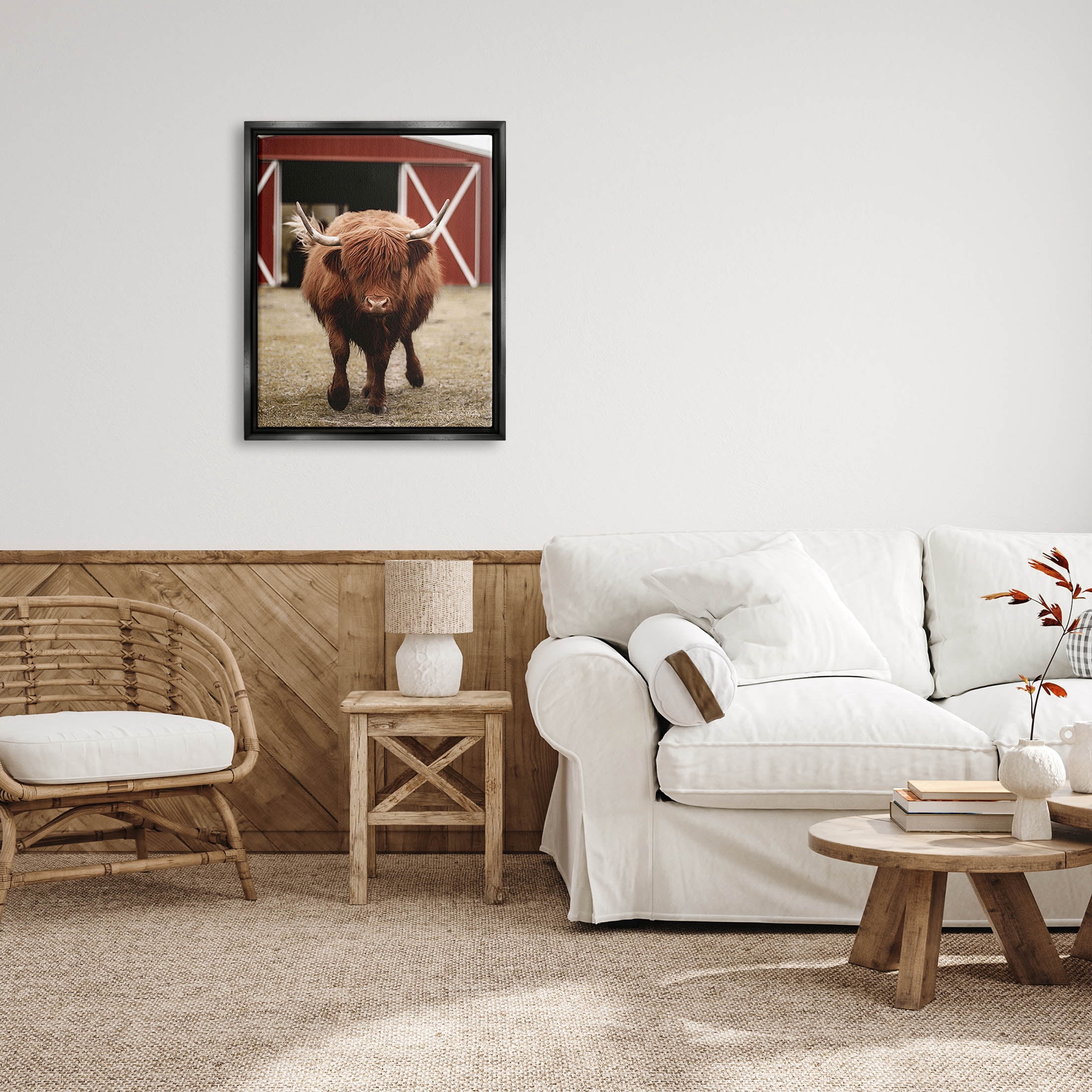 Stupell Industries Trotting Highland Cattle Bold Red Barn Photograph Jet Black Floating Framed Canvas Print Wall Art, Design by Dakota Diener