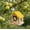 Yellow, variant on Winter Poetry Upgrade Wooden Bird House Feeder, Hanging Mini Bird Nest, Outdoor Garden Decoration for Courtyard Forest, 7.09x6.30x6.30in Beige