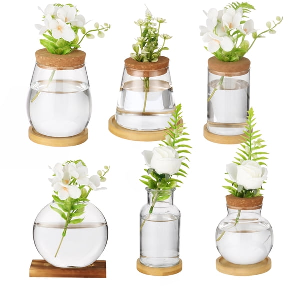6PCS Plants Propagation Stations, Desktop Glass Propagation Vases with Wood Lid and Stand, Hydroponic Vase for Home, Office Decor, Glass Propagation Vases for Plant Growing
