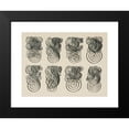 thumbnail image 2 of Frank Chouteau Brown 24x19 Black Modern Framed Museum Art Print Titled - German Gothic Initials (1902), 2 of 5
