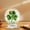 D, variant on St. Patrick's Day Green Four-Leaf Acrylic Flatware Piece, Leprechaun Statue Clover Acrylic Resin Figurine Gifts ，for Table Irish Shamrocks Tabletop Decor