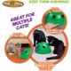thumbnail image 5 of Juguete interactivo para gatos con movimiento, incluye: juguete electrónico inteligente con movimiento aleatorio, 5 of 5