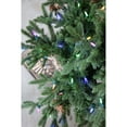 thumbnail image 5 of Fraser Hill Farm Set of Two 4-Ft. Noble Fir Artificial Trees with Metallic Urn Bases and Multi-Colored LED String Lights, FFNF056-6GRB/SET2, 5 of 12