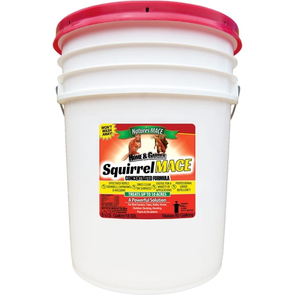 Squirrel MACE 5 Gallon Concentrate, Treats 10 Acres