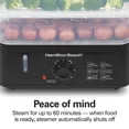 thumbnail image 6 of Hamilton Beach 3-Tier Electric Food Steamer, Vegetable Steamer and Rice Cooker, 9.5 Qt, 6 of 9
