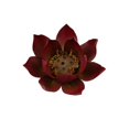 thumbnail image 1 of The New 1pcs Lotus Incense Burner, 1 of 3