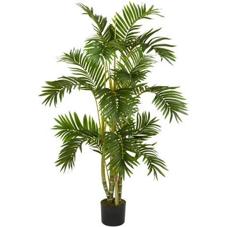 Areca Palm Silk Tree, 4'