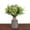Green, variant on Djiypn Greenery Artificial Eucalyptus Stems13.78 Inch, Ba|by Breath Artificial Flowers Bulk and Eucalyptus Leaves for Wedding Bouquets Home Office Floral Decor (Pink)