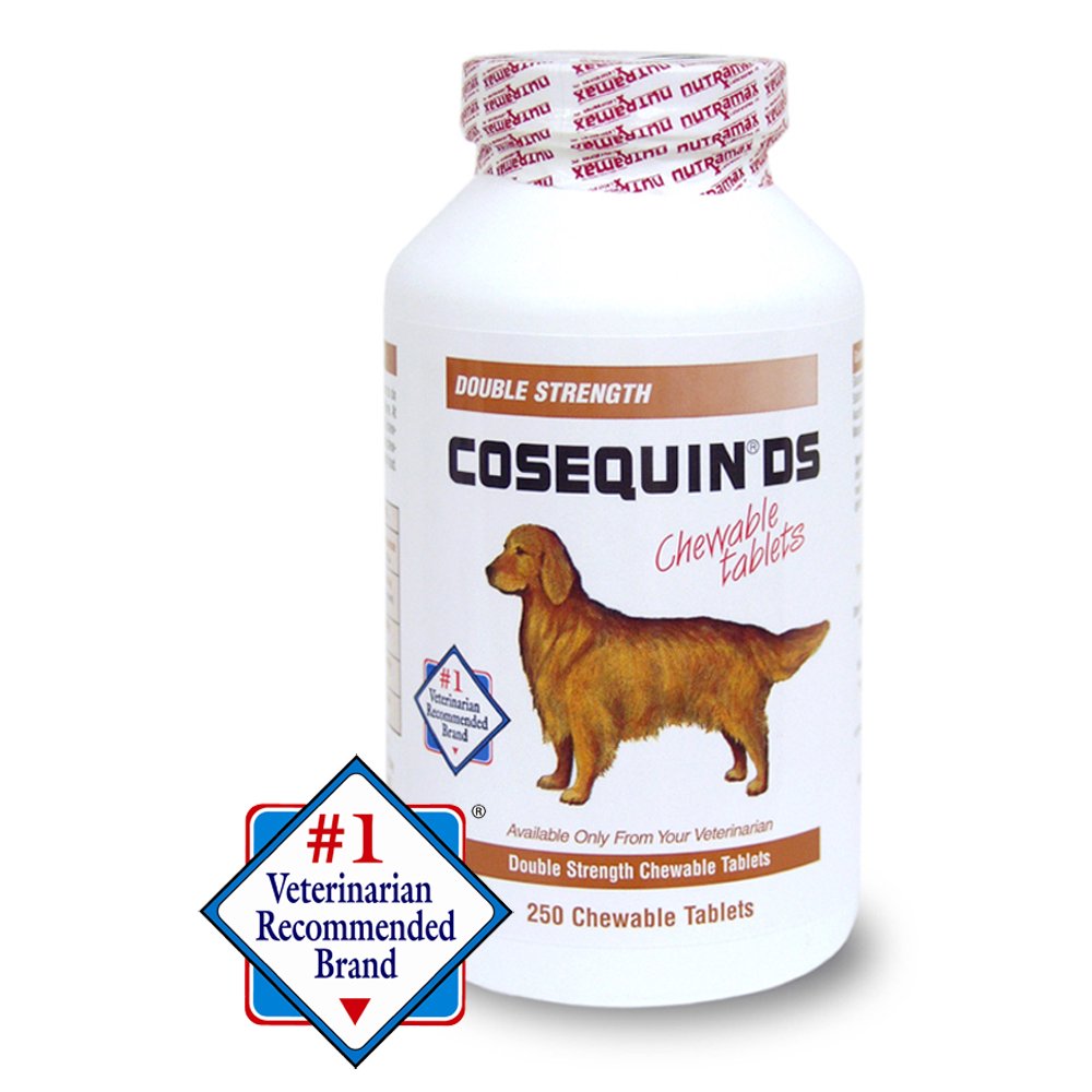 Nutramax Cosequin DS Joint Health Supplement for Dogs, 250 Chewable