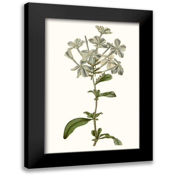 Curtis 11x14 Black Modern Framed Museum Art Print Titled - Soft Blue Botanicals VII