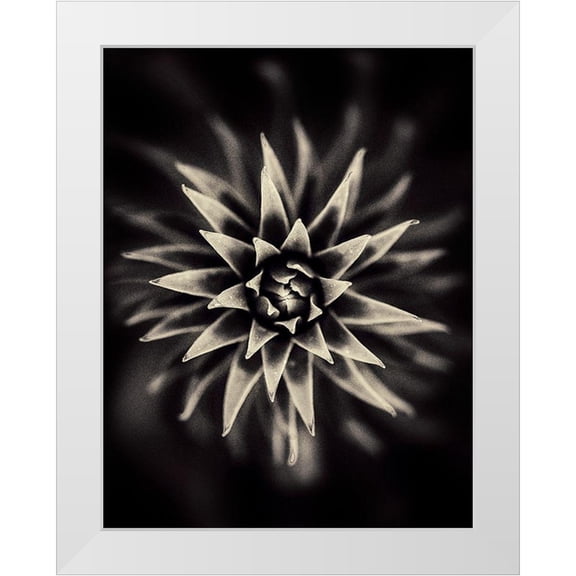 Salem, Saad 12x14 White Modern Wood Framed Museum Art Print Titled - Star
