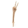 thumbnail image 2 of Dserhfy Halloween Skeleton Stake Decoration Realistic Skeleton Bones Design Easy to Install Creepy Hand Arm with Lawn Stakes, 2 of 7